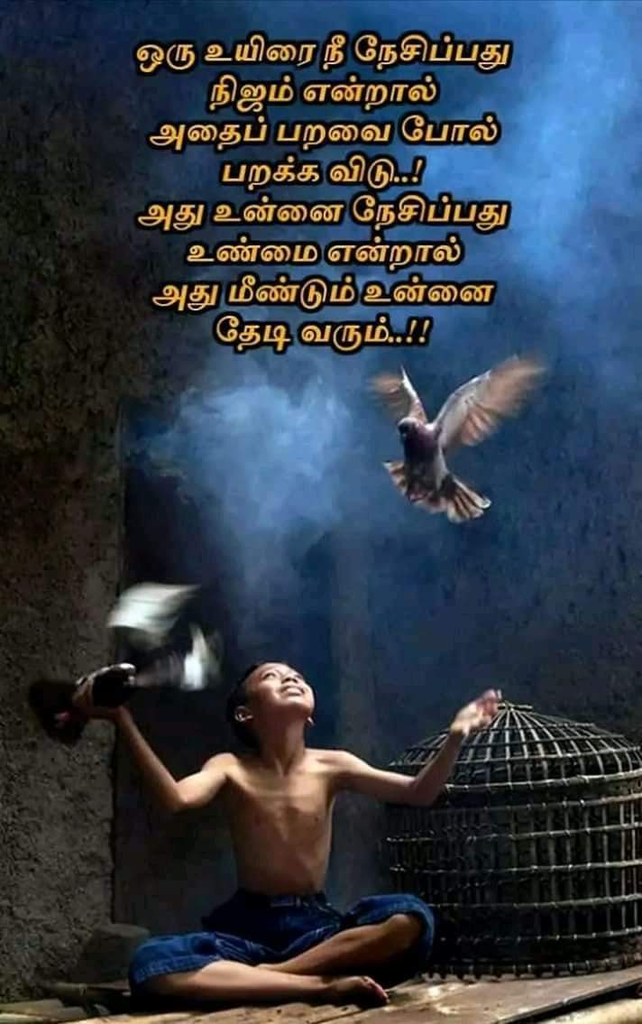 POORANI95489591's tweet photo. https://t.co/etwyUT32rx