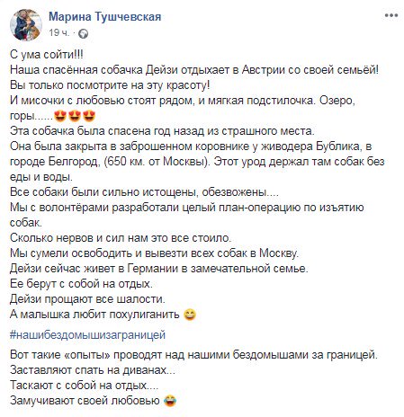 mgk_05's tweet photo. Хорошего вам в ленту. Вот эту собаку спасли из-под Белгорода, где её держали взаперти вместе с другими собаками в коровнике... 
Сейчас живёт в Австрии, на берегу красивого озера... её любят и балуют
Спасибо волонтёрам https://t.co/3qFgwJfZ7L