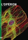 UpbmAsso's tweet photo. #cytosquelette
"Déchiffrage du code #tubuline: le voile se lève sur le rôle de l’acétylation et de la détyrosination"
L'occasion de (re)lire l'article: "Les 50 ans de la découverte de la tubuline" dans l'Opéron n°84 de la revue @UpbmAsso 
@ms_MedSci 
https://t.co/ngERDnfwnq https://t.co/aDH92XTzNj