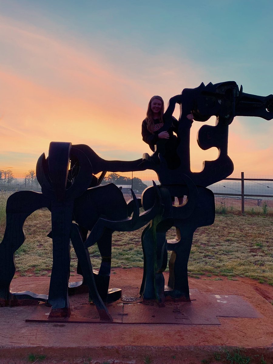 I got (and I cannot stress this enough) the horses in the back. #terryambassadors