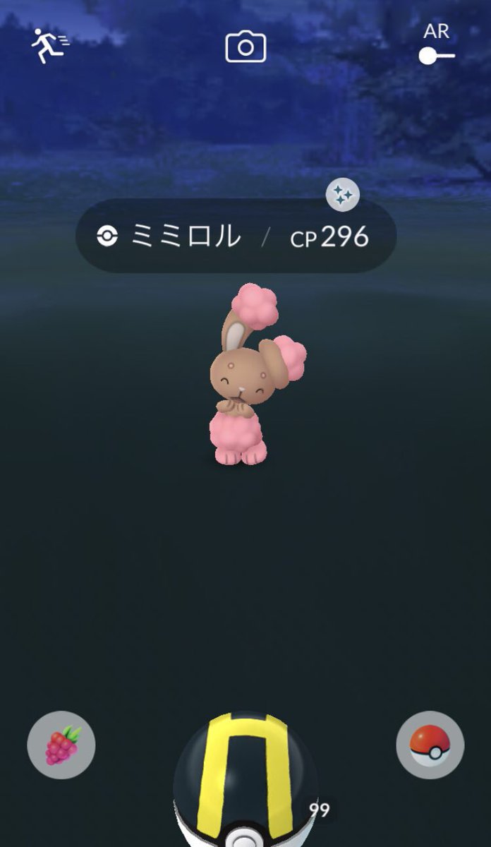 色違い オスのミミロルってどすんの メス以外意味なくない みんなのポケgo みんポケ