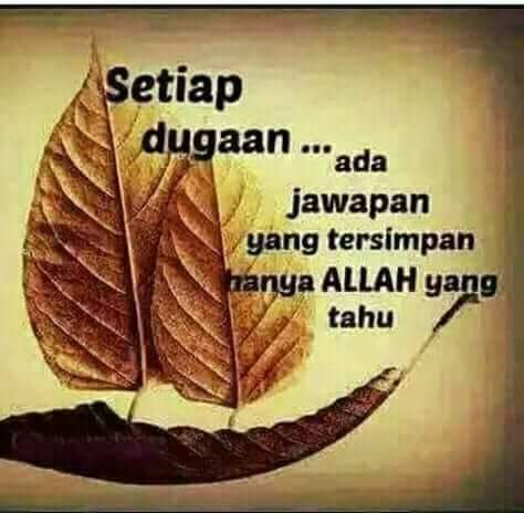 @cank's azah tweet media