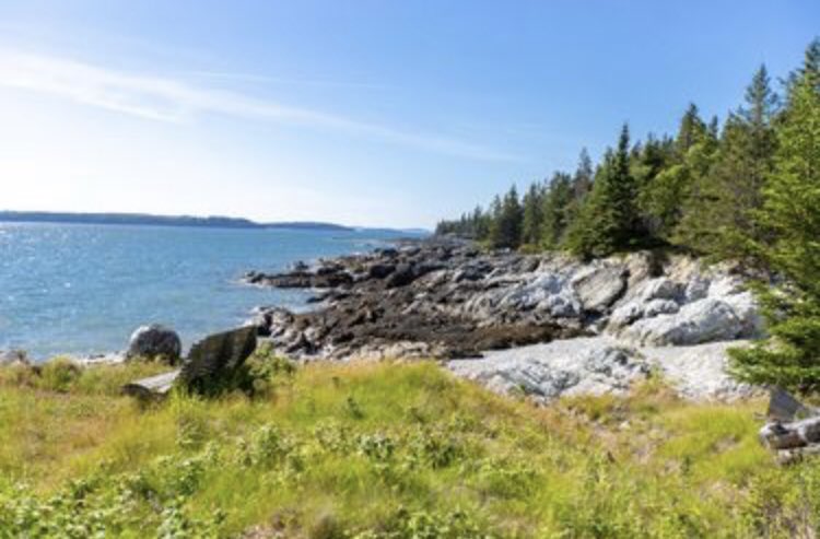 sheepehead's tweet photo. Savor every view 💙
#privateisland #retreat #fitlife #farmbythesea #organic #love #beauty #purpose #natural #meditate #sheepheadislandresort #fitness  #gratitude #wellness #outside #illdrinktothat #glamping #IAmATraveler #luxurytravel #tlpicks #bucketlist #wine https://t.co/ehOCrOOQLd