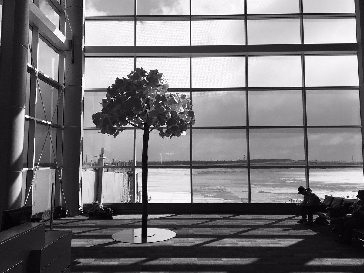 Cove17's tweet photo. Delightful bleakness of the view @HfxStanfield https://t.co/VDCuwNkNJn