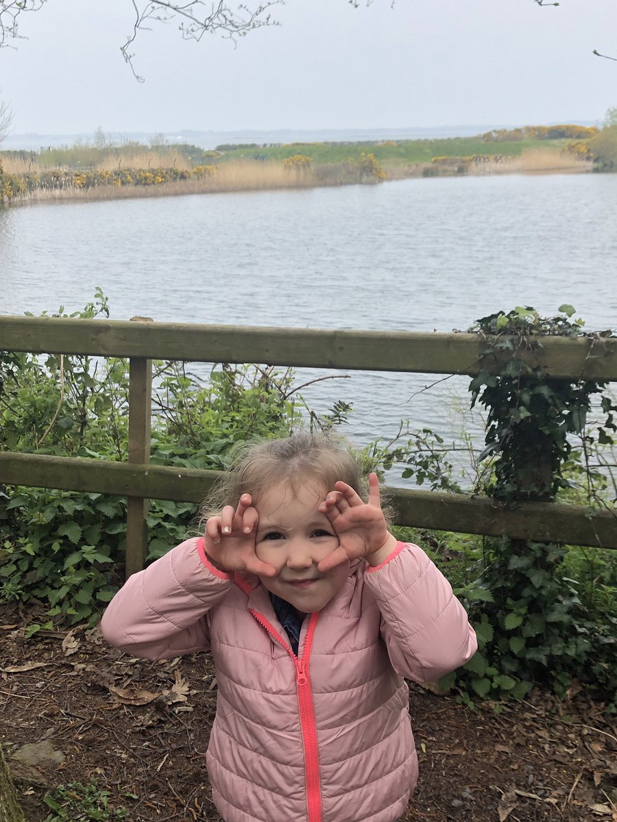 Ian_Gray2's tweet photo. Great dander today around the lough. @WWTCastleEspie #easterducks #stunning #naturesfinest #bestmate https://t.co/r7aEpOPyit
