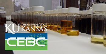 From aspiration to achievement - 15 years and counting! mailchi.mp/a4cbafafb3db/s…