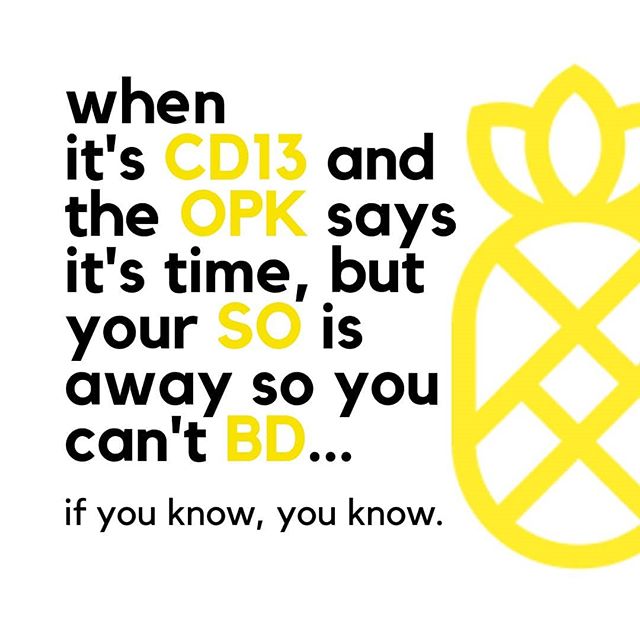 pineaplapp's tweet image. Ugghh!! #ttcproblems