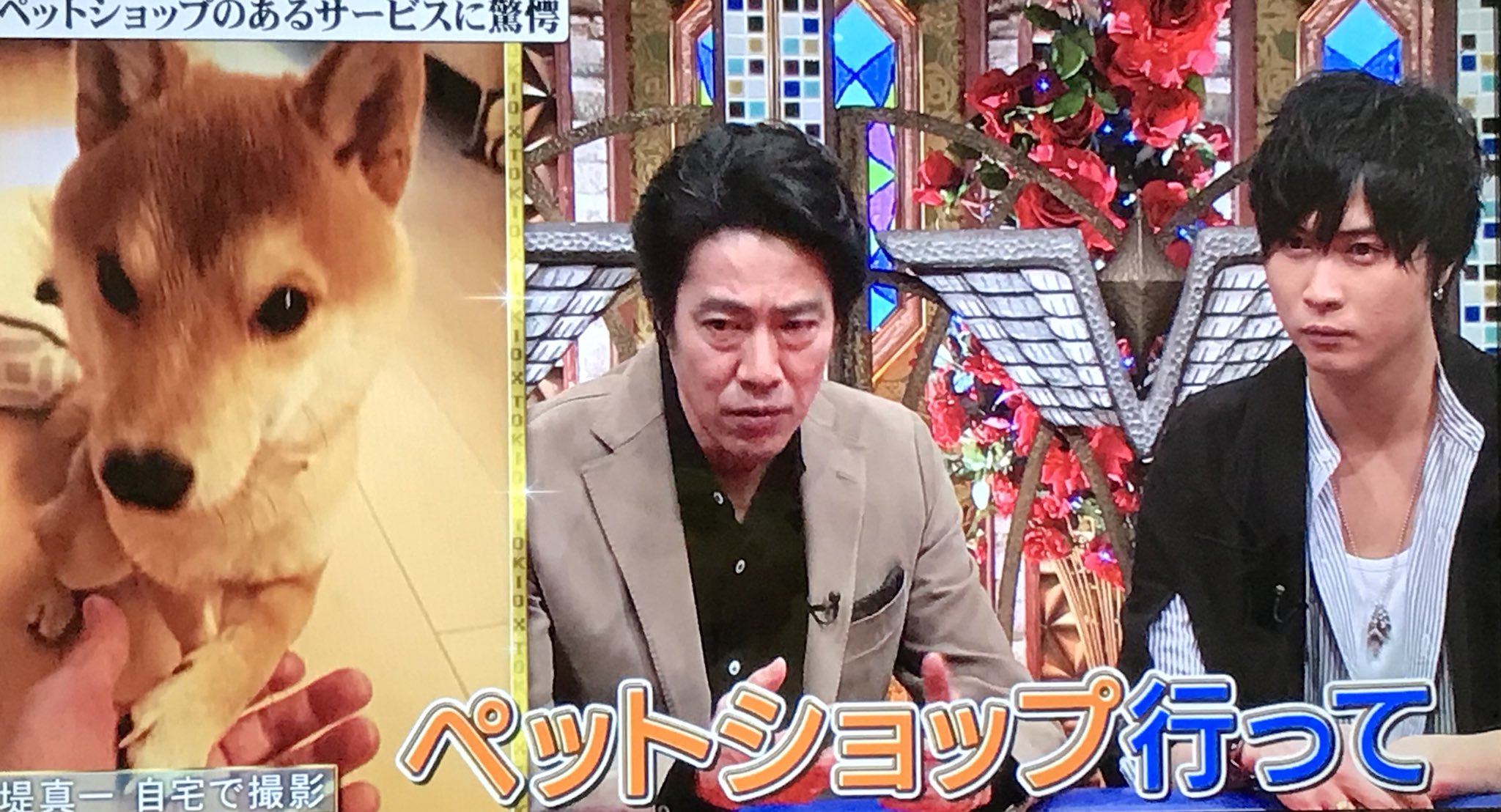 ユキコ 左から 豆柴 堤真一さん 豆柴 Tokioカケル T Co T3rw7zvvpq Twitter