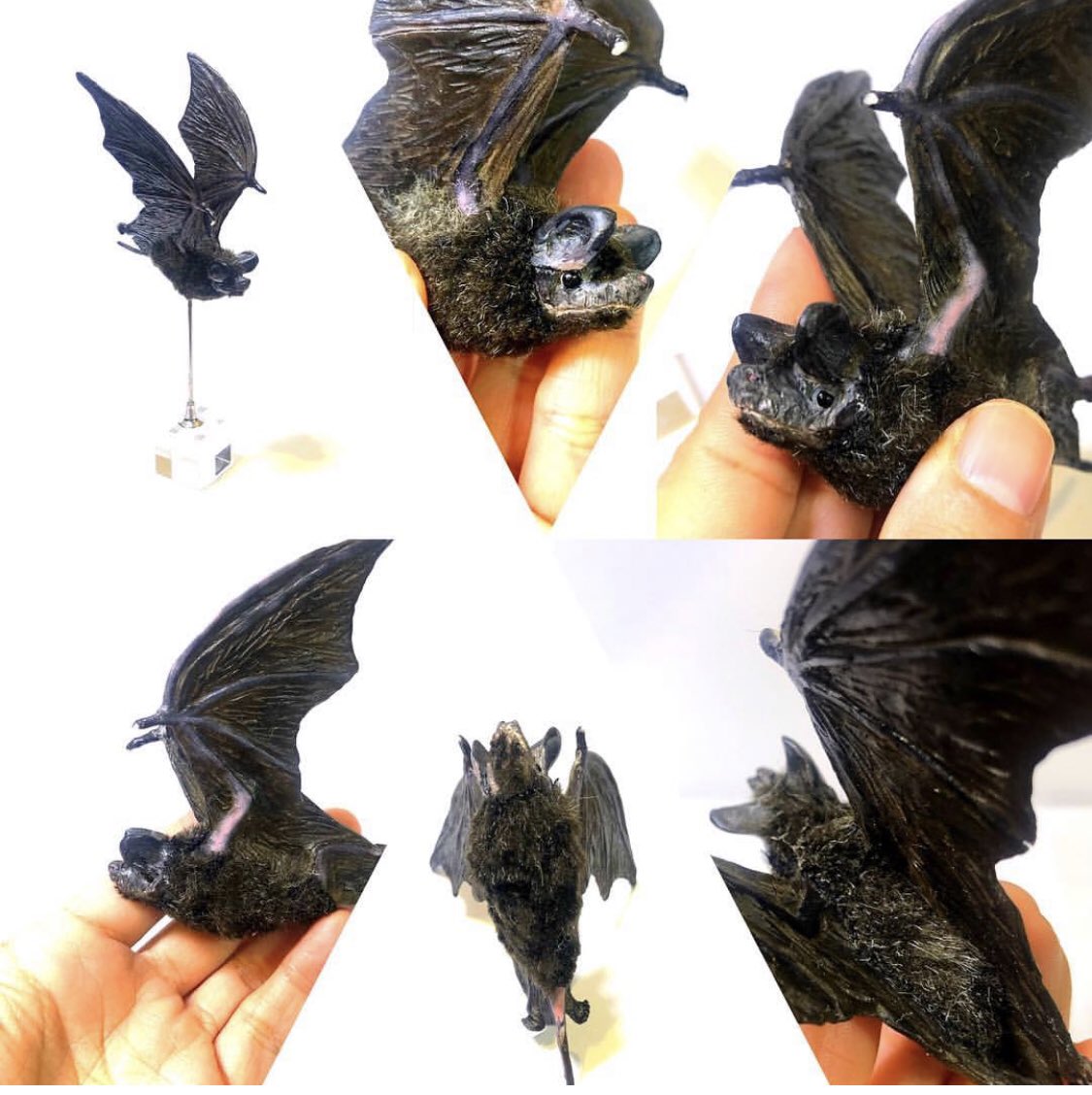 おばけ ねこ En Twitter Kimerakimera Sayona347 アブラコウモリでしょうか 可愛いですよね 私もよく作ります T Co Mnkt8jruln Twitter