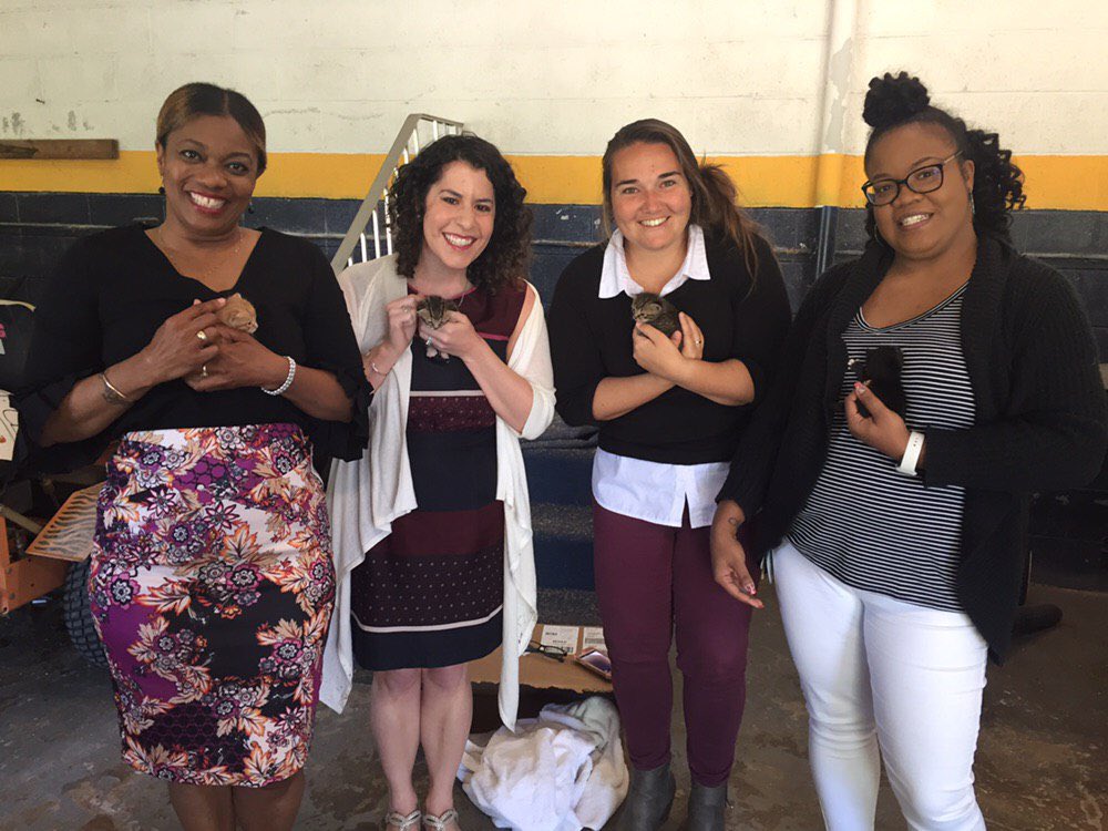 Your counselors don’t just rescue people, they rescue cats! 😻😻😻