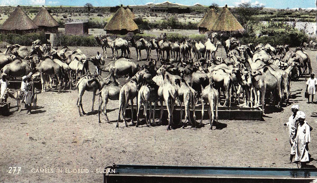 El-Obeid was founded by the pashas of Ottoman Egypt in 1821 and was rebuilt on a modern plan in 1898. #History #Sudan #Tourism #Culture #Heritage #SeeSudan #LearnAboutSudan #VisitSudan