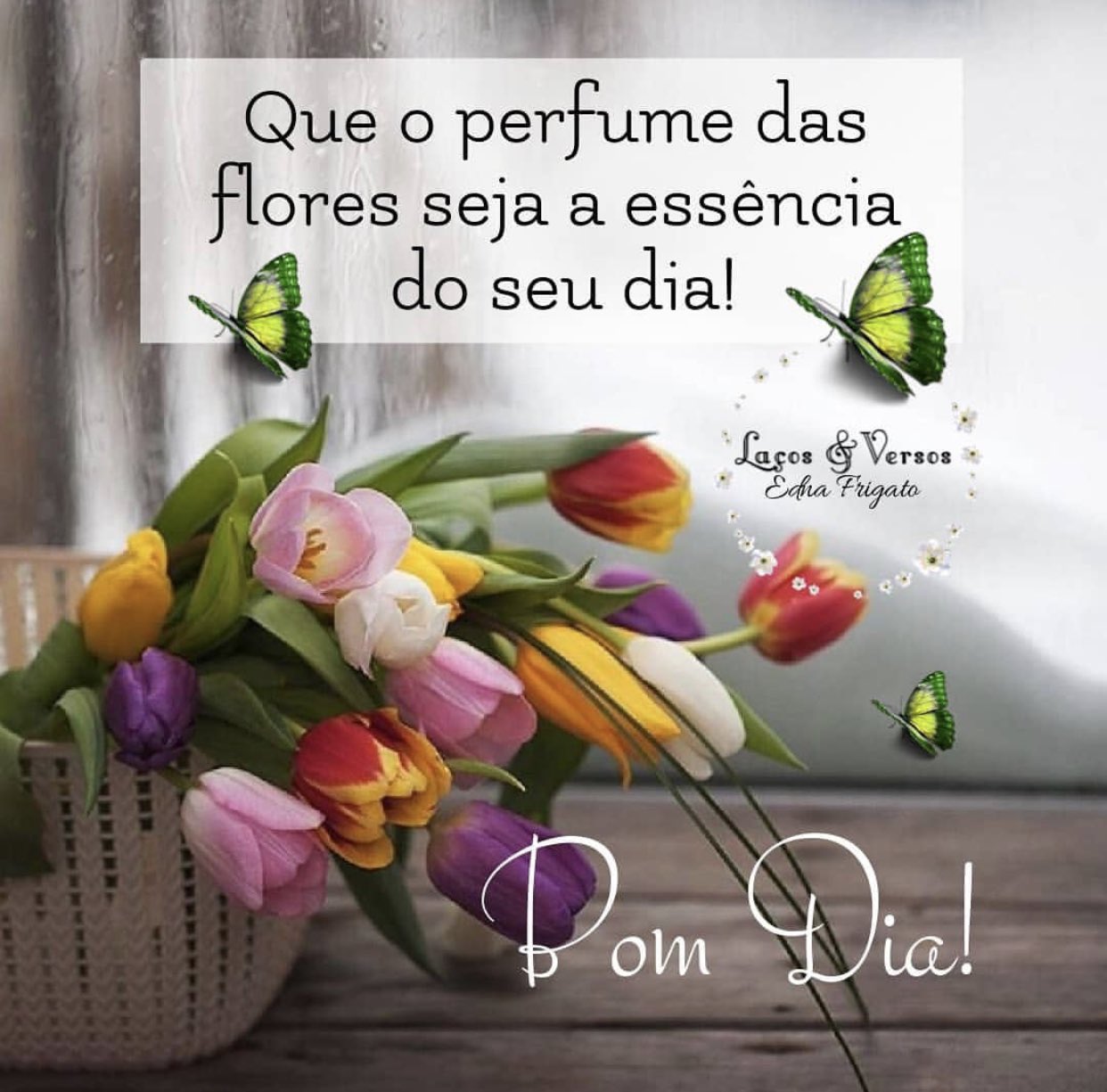 Francisco Valderez on Twitter: Francisco Valderez on Twitter: