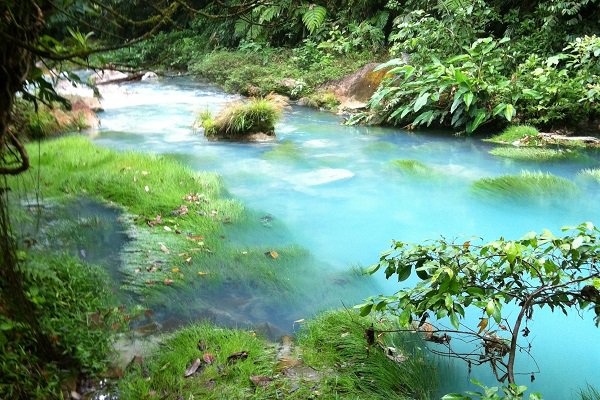 OneTwoTrail's tweet photo. Experience Costa Rica tailored to your desires!

Río Celeste

https://t.co/6T60LOduQu

#OneTwoTrail #CostaRica #Rivers #Waterfalls #Hiking #Trails #Rainforests #Forests #Nature #Adventure #Relax #Colors #Blue #Nationalparks https://t.co/wXQaGVGUoo