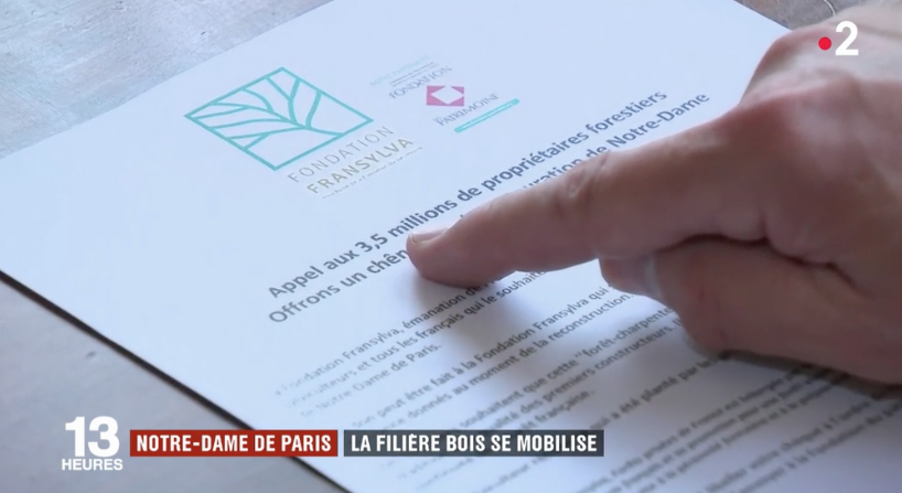 Les forestiers privés, avec @fransylva_paris s'engagent à mobiliser du chêne pour reconstruire la charpente #NotreDameDeParis 
Bon reportage @France2tv à regarder ici : 
francetvinfo.fr/replay-jt/fran…
#bois #chene
