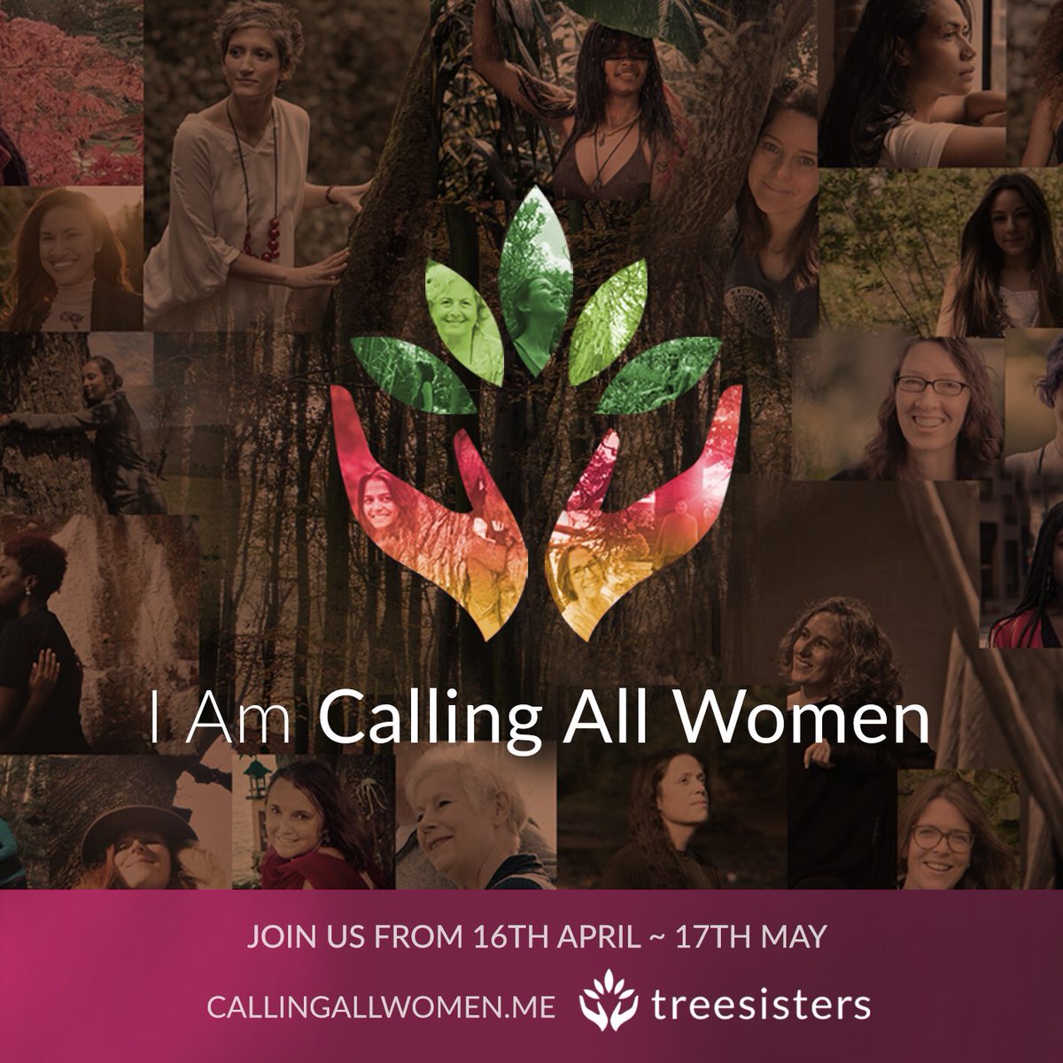 Join us restoring the earth by reforestation #callingallwomen 🌿🌳🌿🌳🌿🌳🌿🌹