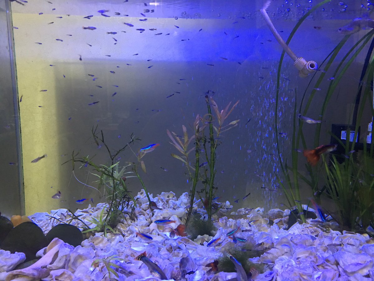 바글바글 올 여름이 문제네 ??