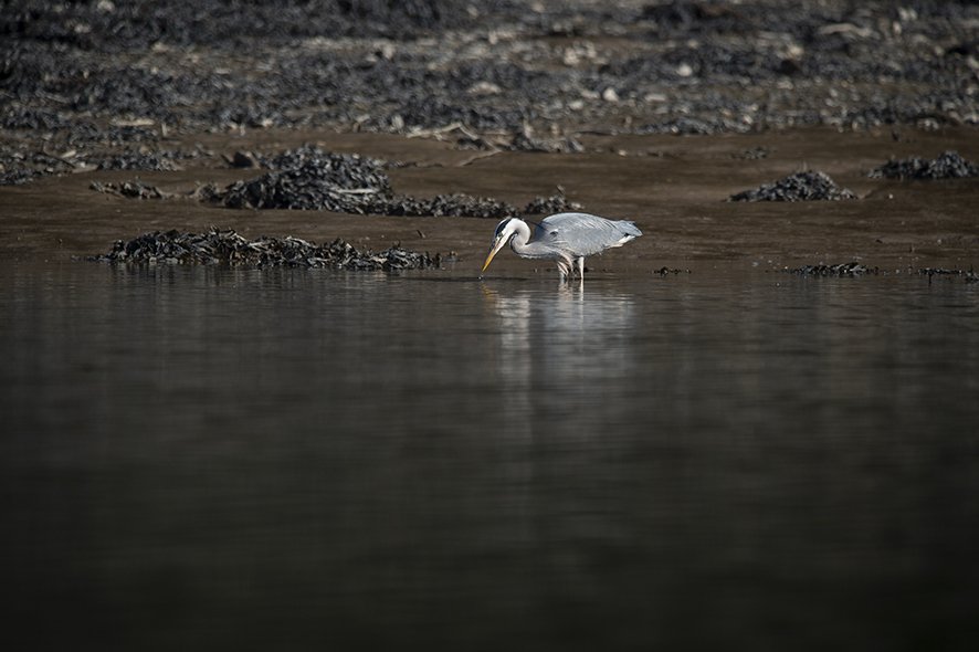 Following an outing with <a href="/tillcoastclear/">Gary Jolliffe</a>&amp; <a href="/ExeterChiefs/">Exeter Chiefs</a> players Olly &amp; Tom, Richard Marsh of Coastal Recycling said; "The work that Gary undertakes is an important step to protecting our environment and coastlines for wildlife and future generations. We are proud to support it"