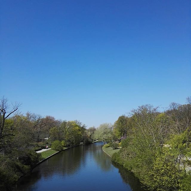 Bluebluesky berlin :) @renvylehousehotel