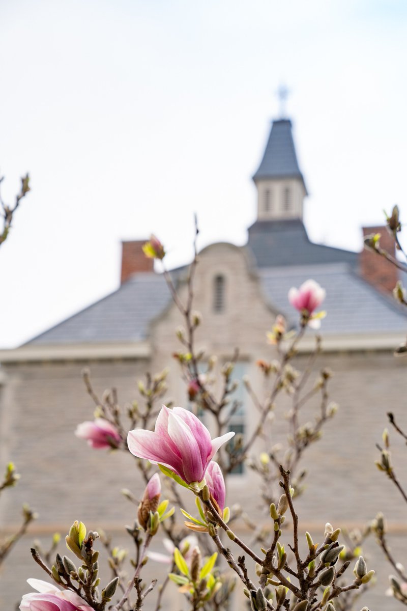 Ohio Wesleyan University tweet media