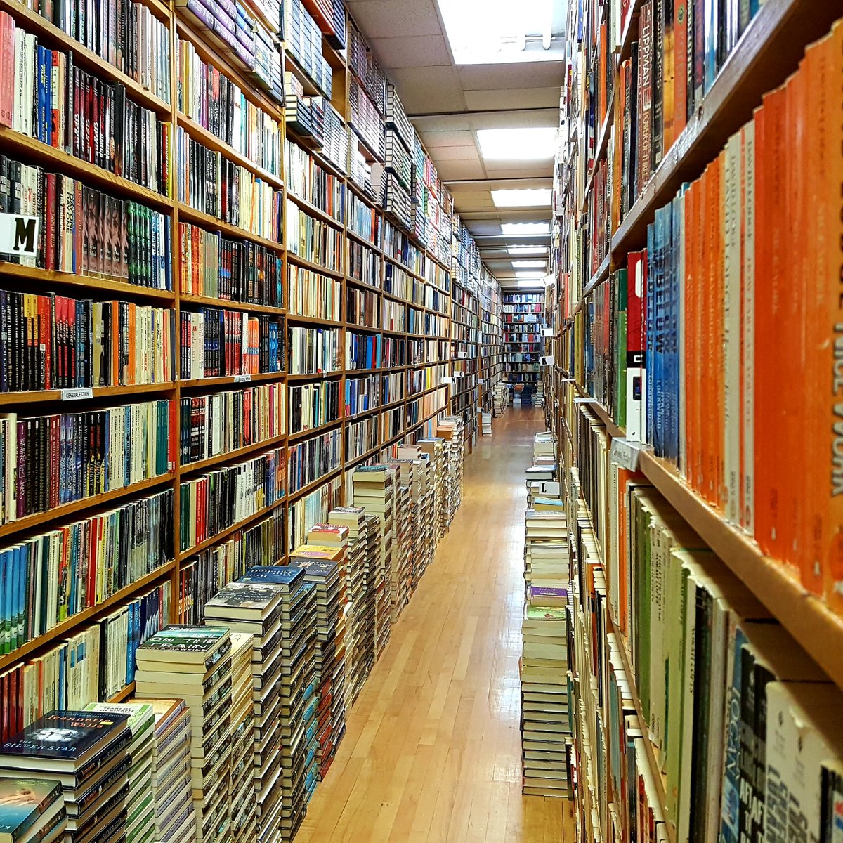 sciencethemovie's tweet photo. VICTORIA, BC (2/3): I tried to use my time wisely. Wandered @russellbooksvictoria for hours. Ate lunch at @lafogata_latina, a hole in the wall where a little Colombian lady asked me, "You like rice? Goooood." @Victoriabugzoo had the coolest bugs, like ants who garden?? 😮 https://t.co/NzCCKVldLq