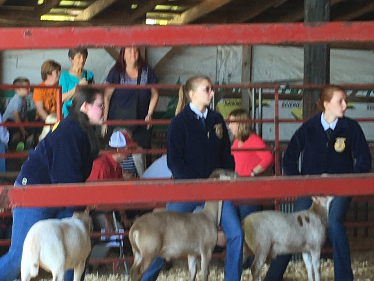 RA_DPSCTE's tweet photo. Jordan High School FFA students compete today at the Central Piedmont Livestock Show. https://t.co/DEFGRqXSP6