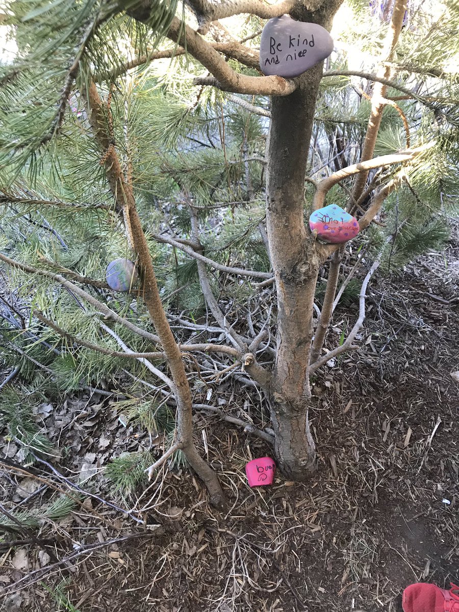 Get ready <a href="/PrairieWaters/">Prairie Waters</a> and stay on the lookout for our kindness rocks around the playground. We hope they put a smile on your face when your having a tough day! #SpreadTheLove #KindnessRocks <a href="/MisterTteaches/">5T @ PWE</a>