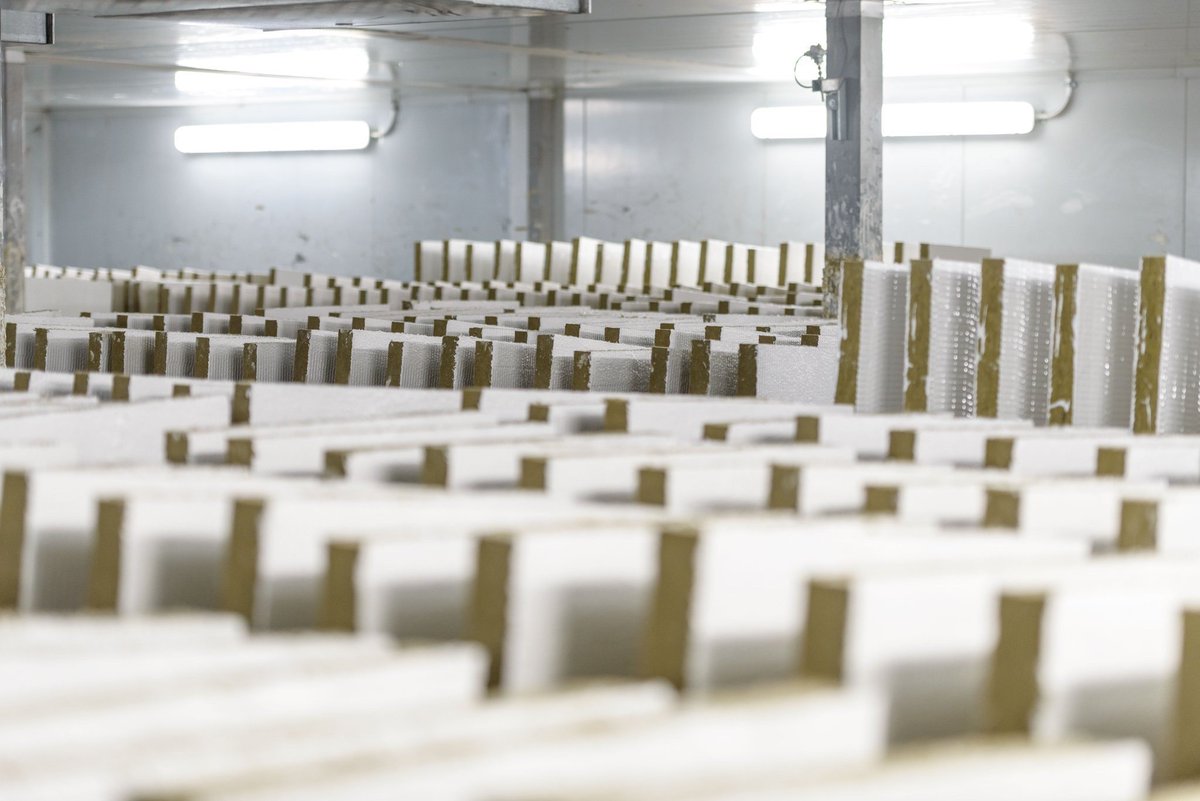 FSiLimited's tweet image. Happy #BatAppreciationDay 

At FSi we appreciate all different kinds of Batts! 

#bat #batts