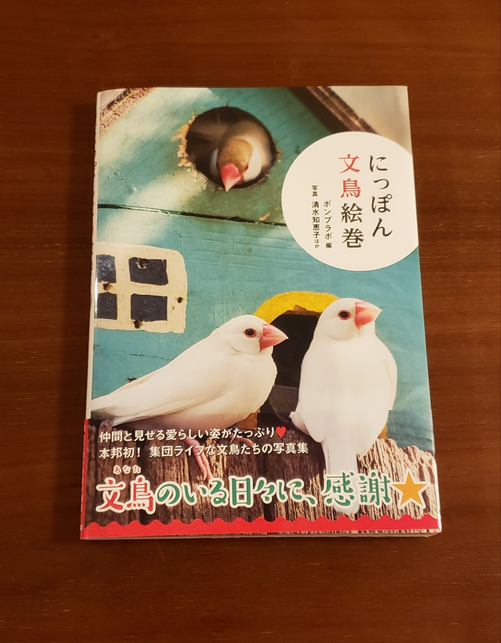 坪井義哉 文鳥が好き 鳥が好き 可愛い生きものが好きなみなさん ぜひぜひぜひ立ち読みからでもよろしくお願いします にっぽん 文鳥絵巻 ポンプラボ 編 清水知恵子 写真 文鳥 にっぽん文鳥絵巻 ポンプラボ T Co Svvyiph5bu Twitter