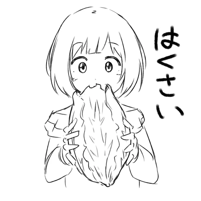 これは白菜 