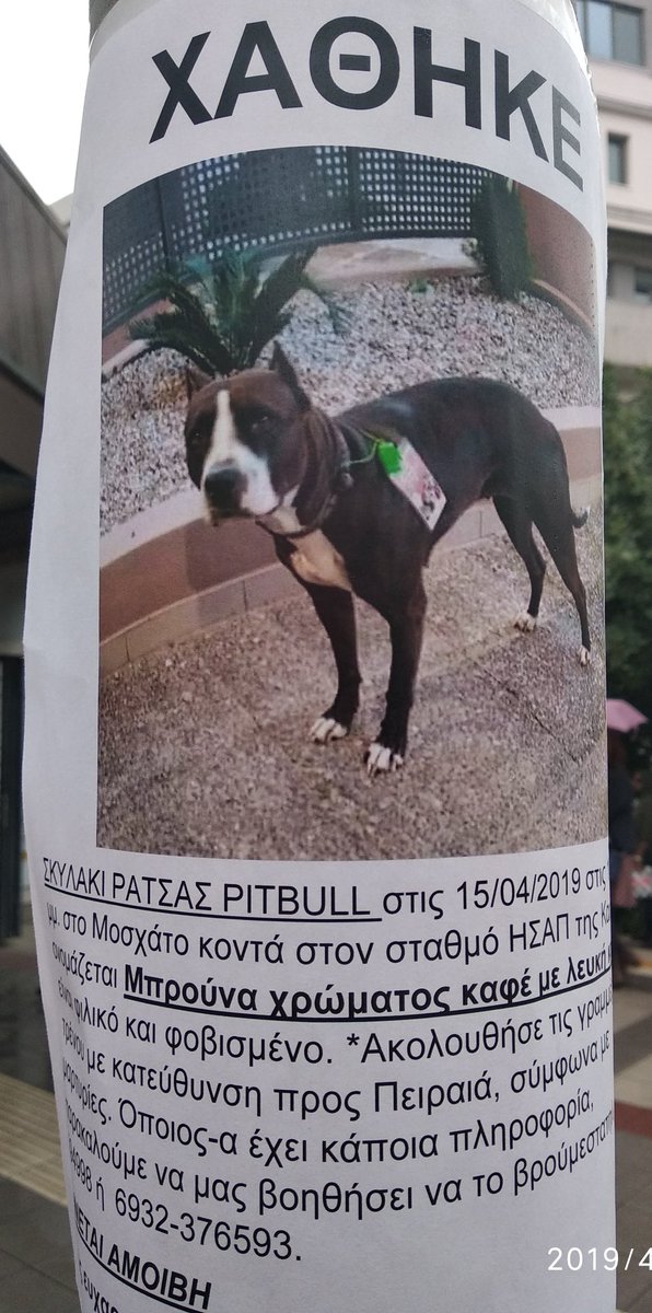 PikosArapikos tweet picture