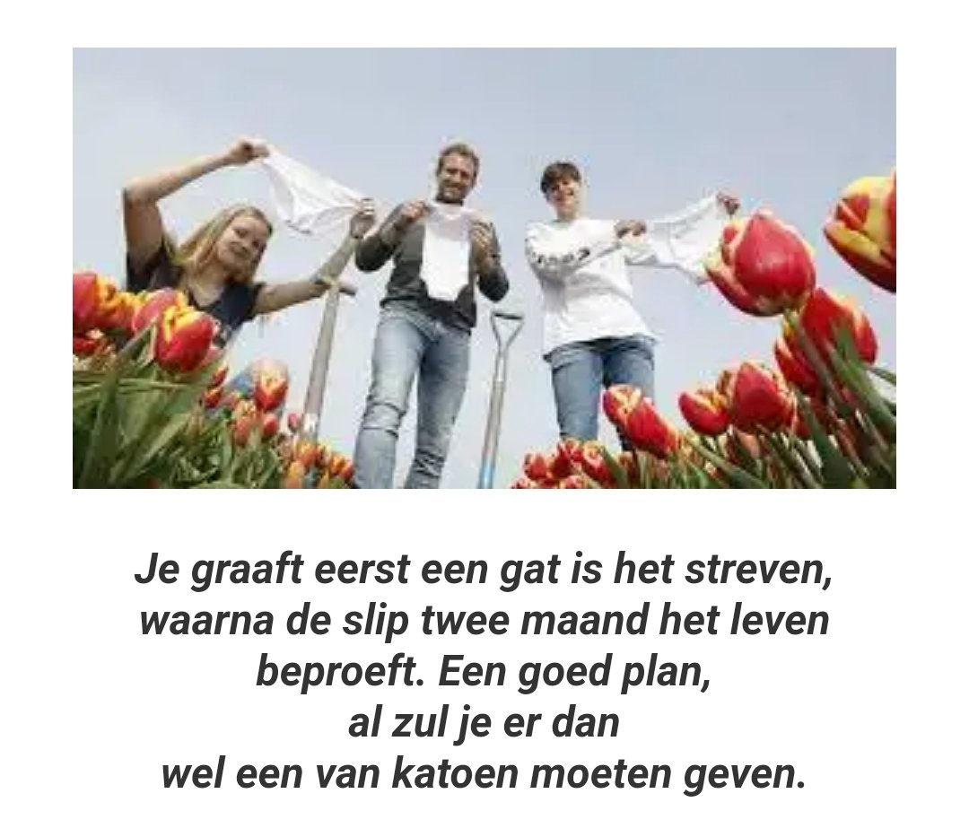 Onderbroekenbodemlol #limerick