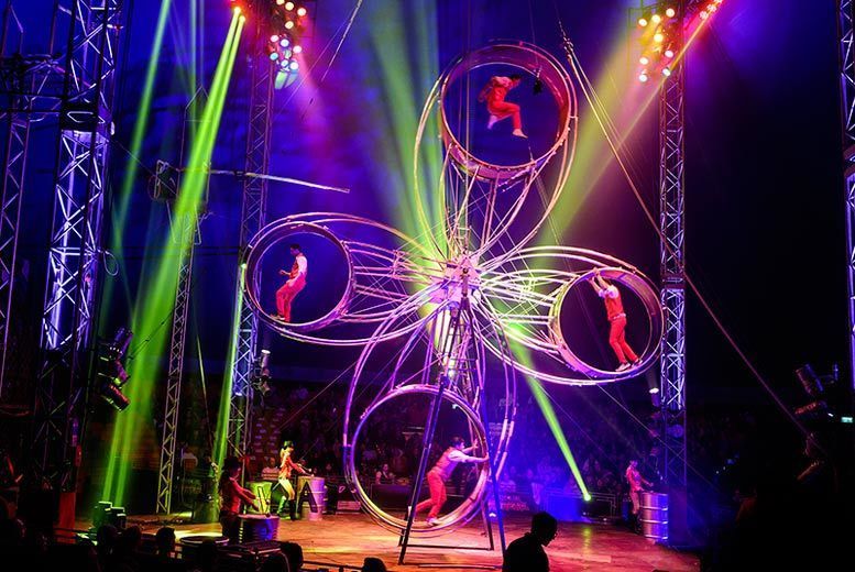adminrums's tweet photo. #Wowcher - Circus Extreme
#circusextreme #daysoutwiththekids #attractionsdiscounts
https://t.co/wt6cBpRt35 https://t.co/cF0m1TLu1f