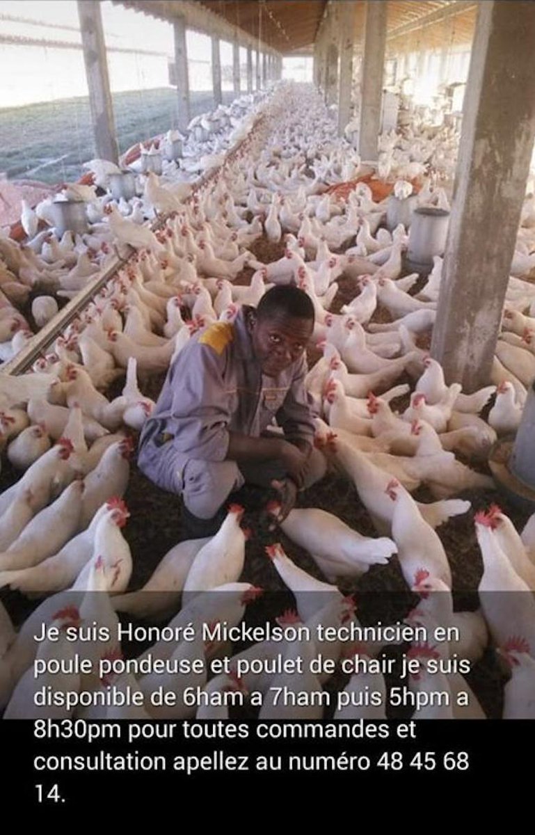 Stanleylucas01's tweet photo. Fòs ekonomi amerikenn chita sou 30 milyon ti biznis kap pwodwui pou vann onivo nasyonal, ekspòte e kreye travay. Pou kreye travay pou 7.7 milyon jènn nou dwe ankouraje gwo, mwayen e ti antrepriz e bay aksè a kredi. Mezanmi ankouraje jènn sa kifè jefo! Achte poul nan men li ! https://t.co/RPdyUdvnH4