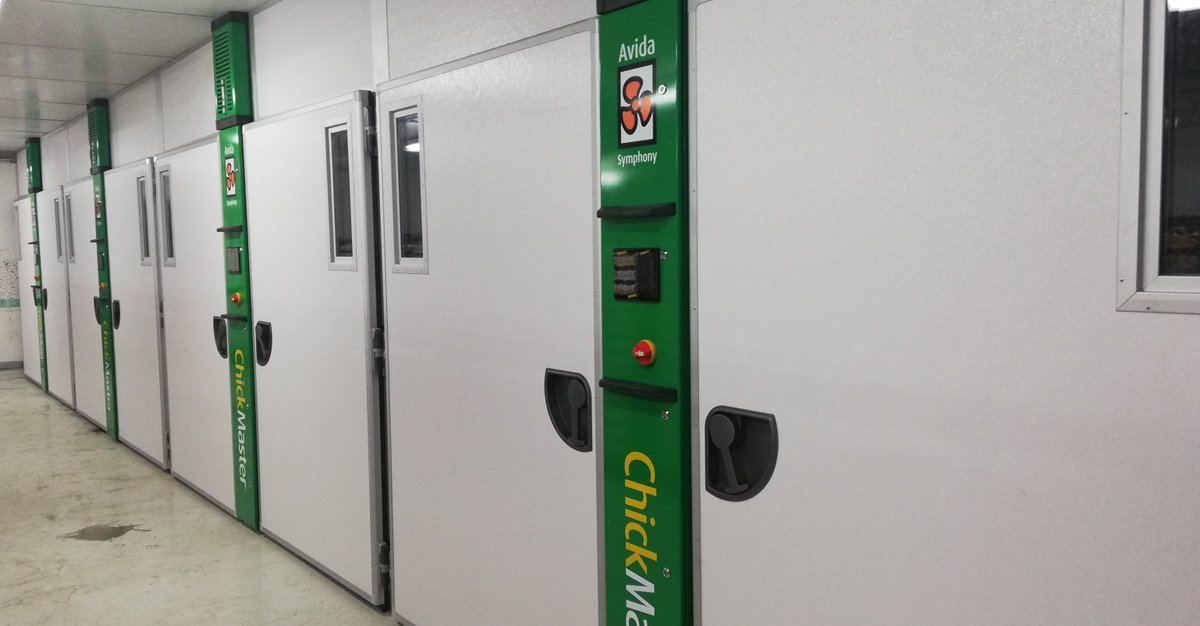 ChickMasterMKT's tweet photo. EXITOSA INSTALACIÓN EN PRONACA
La finalización del la instalación de máquinas de precalentamiento para las plantas AVEGUAYAS y AVEPICA de Pronaca. #yourhatcheryourpriority #chickmaster #chickmasterincubator https://t.co/upaqex3yYO