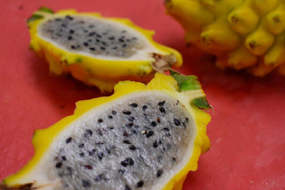 Yellow pitaya, how we've missed you! Back in and ready to eat 💛😍💛