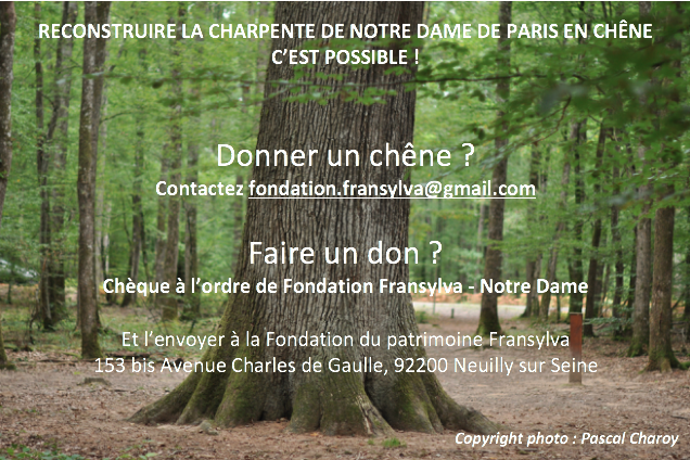 Fondation Fransylva (@ffransylva) on Twitter photo 