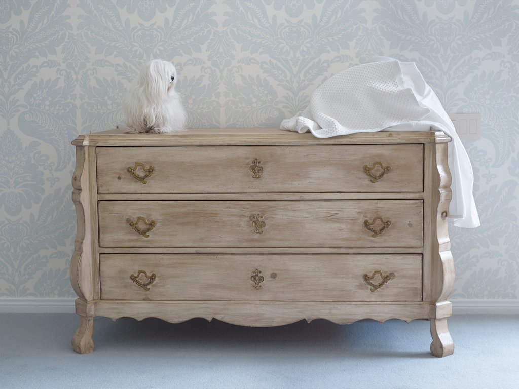 Each image in #CatherineOpie's "700 Nimes Road" (2010-2011) portfolio portrays the glamour of Elizabeth Taylor's daily life, side by side with the banal and the everyday.

⁣Go to renniemuseum.org to book your free guided tour.
⁣