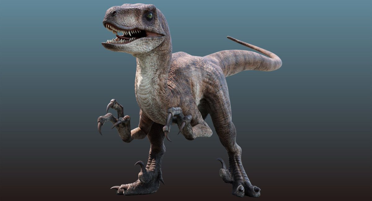 dcbittorf's tweet photo. Royalty Free CG Dinosaurs! (trying to get 10 retweets!)
by: Ben Jewer
https://t.co/sMZuhHacUV

#digitalart #digital3d #3dmodeling #zbrush #pixologiczbrush #autodeskmaya #maya3dmodeling #substancepainter #substance #turbosquid  #artstation #zbrushcentral #dinosaurs #jurrasicpark https://t.co/qVSk4Nfa7c