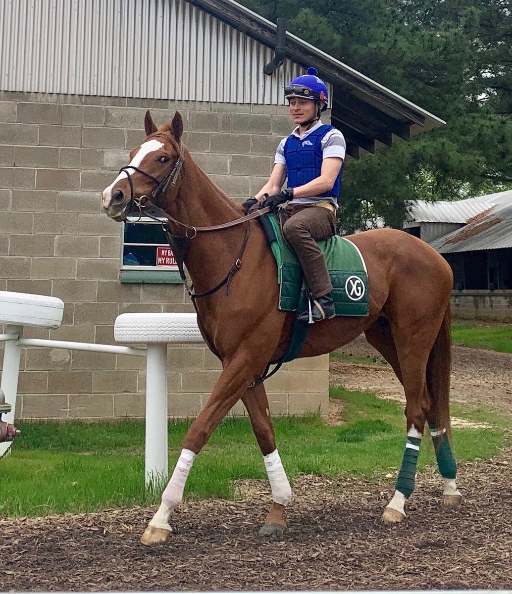 kellyn_gorder's tweet photo. Treasure Trove looks very proud of himself after his win on Thursday 😊 https://t.co/yvCflRtbM3