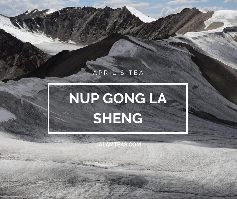 JalamTeas tweet media