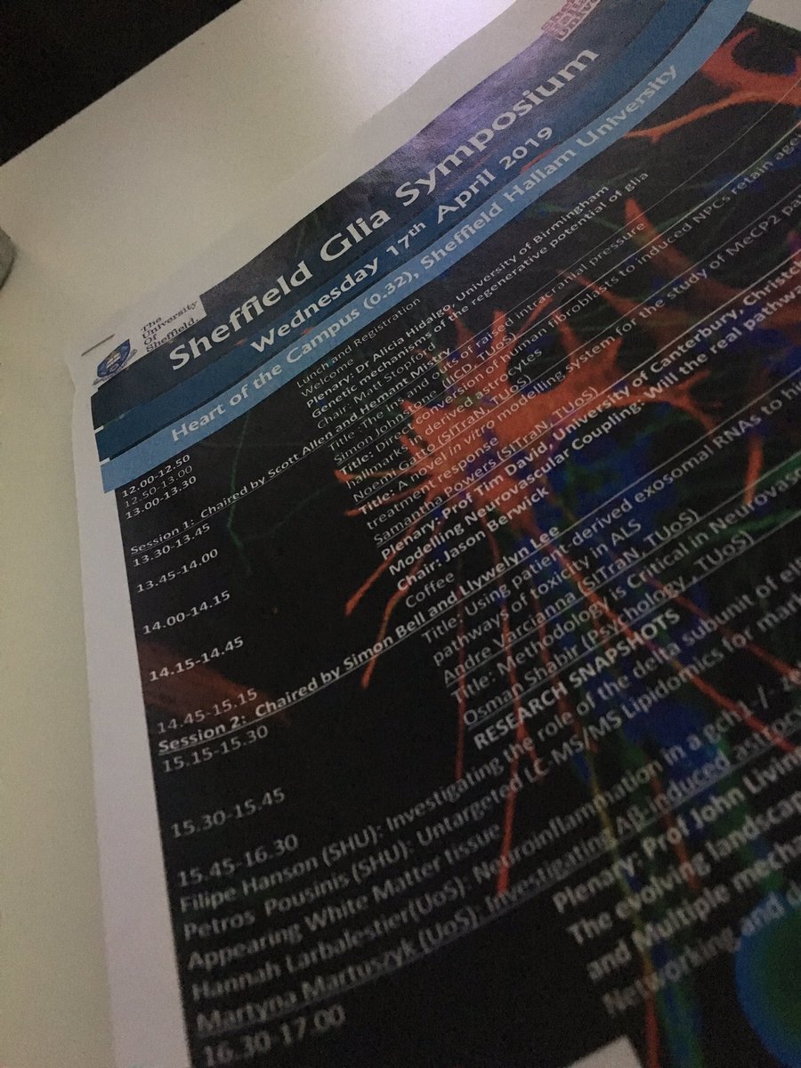 ale_monrebollar's tweet photo. A day dedicated to my favourite set of cells #gliasheff2019 #glia #suchanerd #proudnerd https://t.co/jO57vYmc6Z