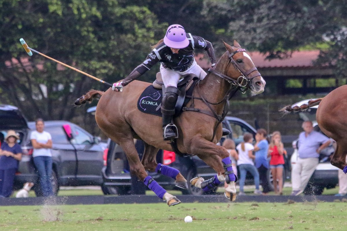 GAUNTLET OF POLO®️ tweet media