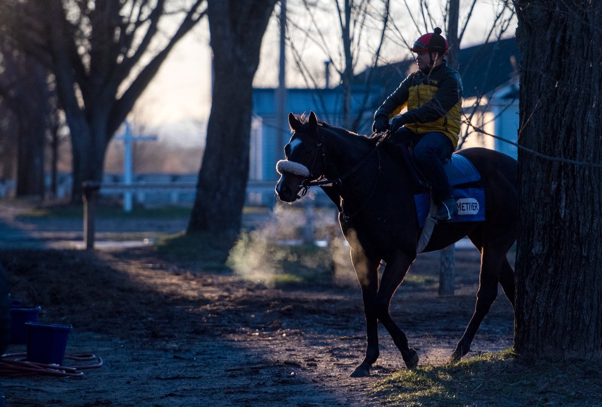 SKIPSCAM's tweet photo. A sure sign of spring! Oklahoma Training Center @NYRA opens for business in @SaratogaChamber. Still chilly but a beautiful morning for recording the opening. @NikonUSA #Z7 #NIKKOR2470-2.8 @BloodHorse @jockeyclub  all images ©Skip Dickstein 2019 https://t.co/zBEGmIaPrN