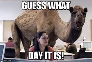 keto_mel's tweet photo. #Happy Wednesday!!!!
Happy Humpday Everyone!
https://t.co/QgXriUg9p8
#KetoCoachingwithMel #HappyHumpday #Keto #Ketogenic https://t.co/TuupgNbCLw