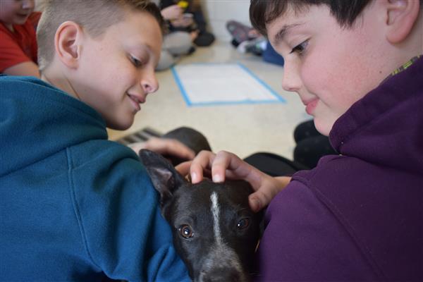 NassauBOCES's tweet photo. Through an initiative called the Cuddle Dispatch, students in the Wildlife Warriors club at #Howitt Middle School #Farmingdale got lots of cuddles and snuggles from puppies up for adoption. https://t.co/IrEKMvckCB https://t.co/qJg79w1qOg