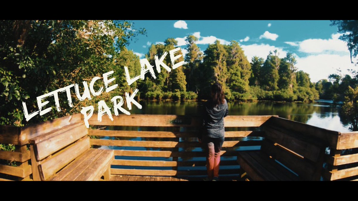 HaveYouMetDivya's tweet photo. Hey guys, posted a video on Lettuce lake park, Tampa. If possible please do check it out 😊

https://t.co/sfuRagU4UW #Youtuber #travel #vlog https://t.co/CUXGzicY9E