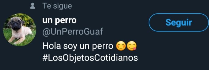 UnPerroGuaf's tweet photo. RT y te sigue un perro :)
#LosObjetosCotidianos https://t.co/ejbBZyvNy5