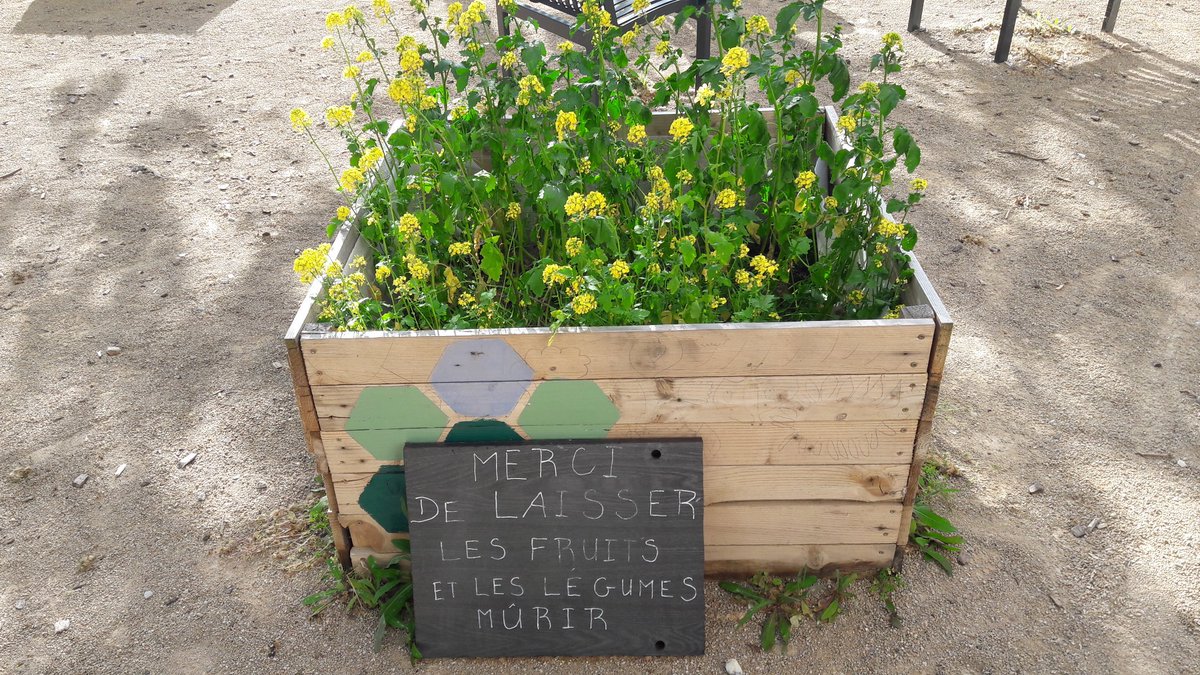 RemiBullion's tweet photo. An 3 : Reprise des ateliers plantations sur les potagers d'Antoine Charial !
Cette année, les habitants ont décidé d'installer 2 nouveaux bacs, 2 composteurs et 2 récupérateurs d'eau, toujours dans un esprit convivial, accompagné par les collaborateurs de l'agence #lmhabitat https://t.co/kkcczxNIf5
