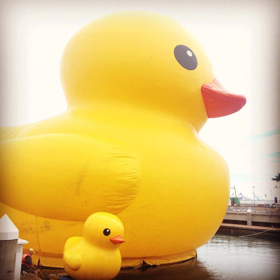 Baby Duck and I are really excited to be @TallShipsErie Aug. 22-25, 2019. Thank you @WidgetFinancial @FNLNiagara @Highmark for making this happen. Muah!