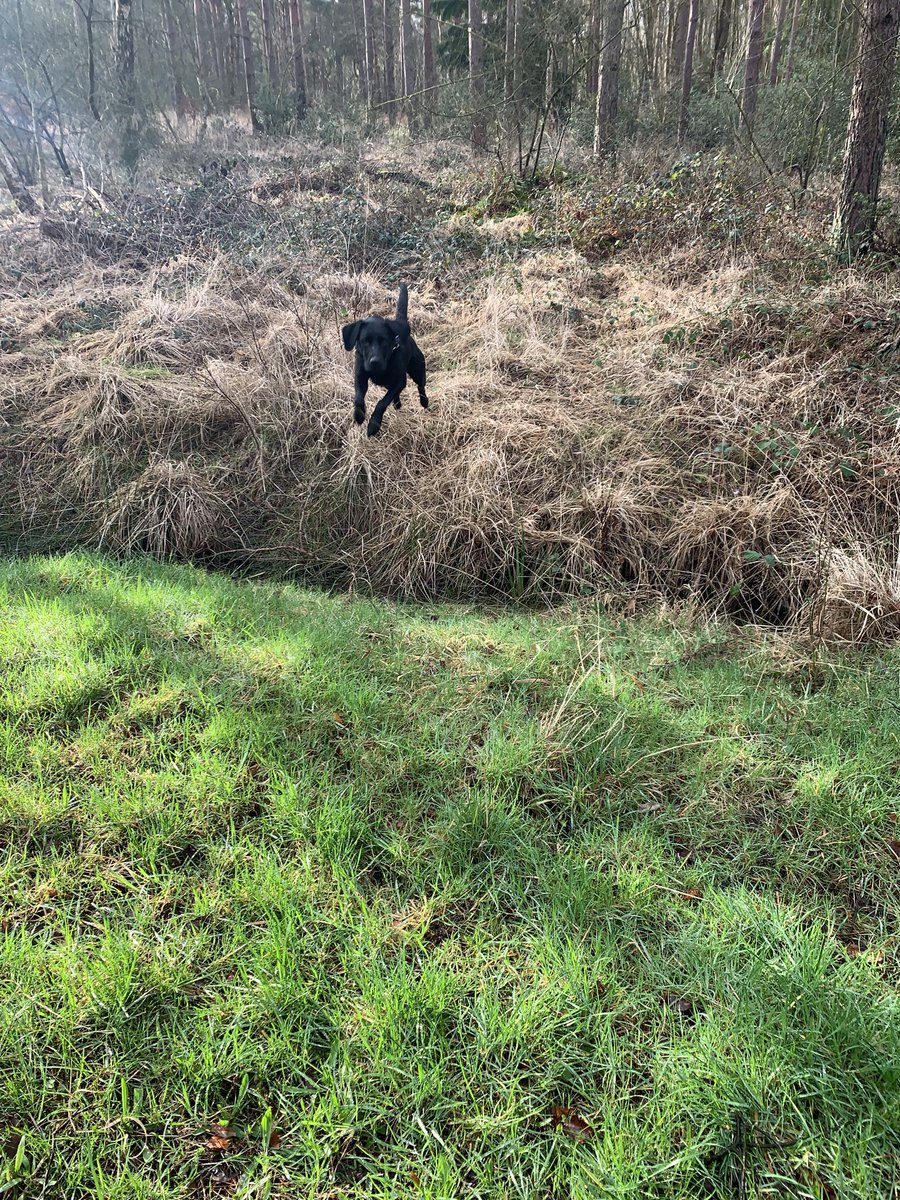 Mabel_dor's tweet photo. #ditchjumping https://t.co/FOdEq3QgIs